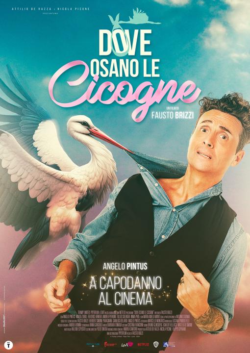 DOVE OSANO LE CICOGNE DOVE OSANO LE CICOGNE