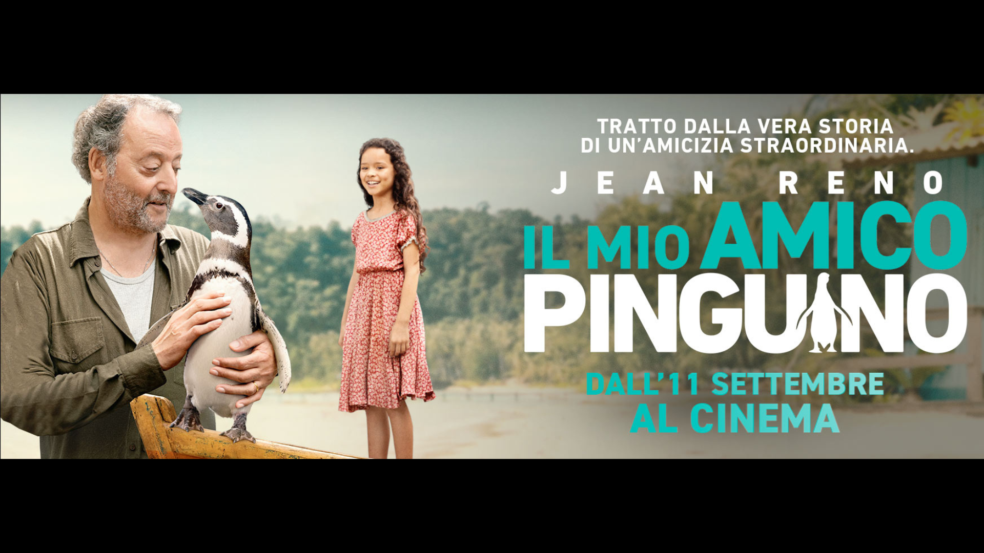IL MIO AMICO PINGUINO