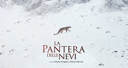 LA PANTERA DELLE NEVI