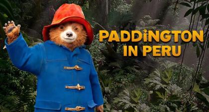 PADDINGTON IN PERU'
